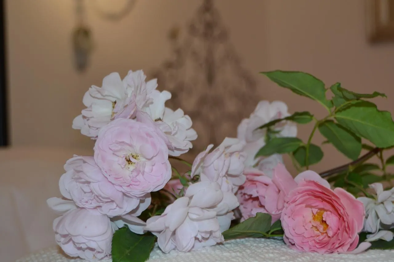 B&B Villa Il Poggiolino Molino del Piano Italy